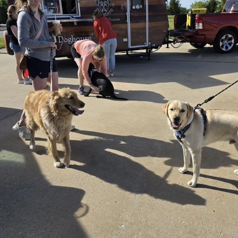 We love our fur friends